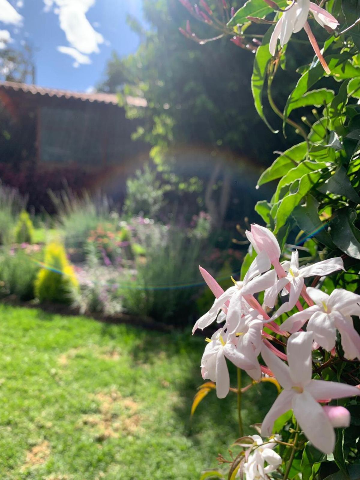 Bed and Breakfast Petite Marie Casona Boutique Yucay Esterno foto